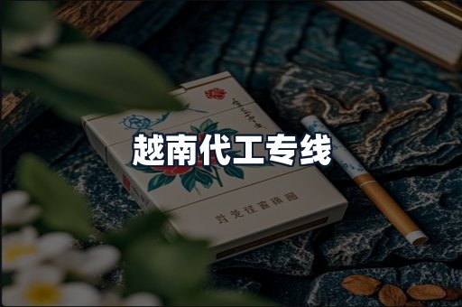 越南代工专线